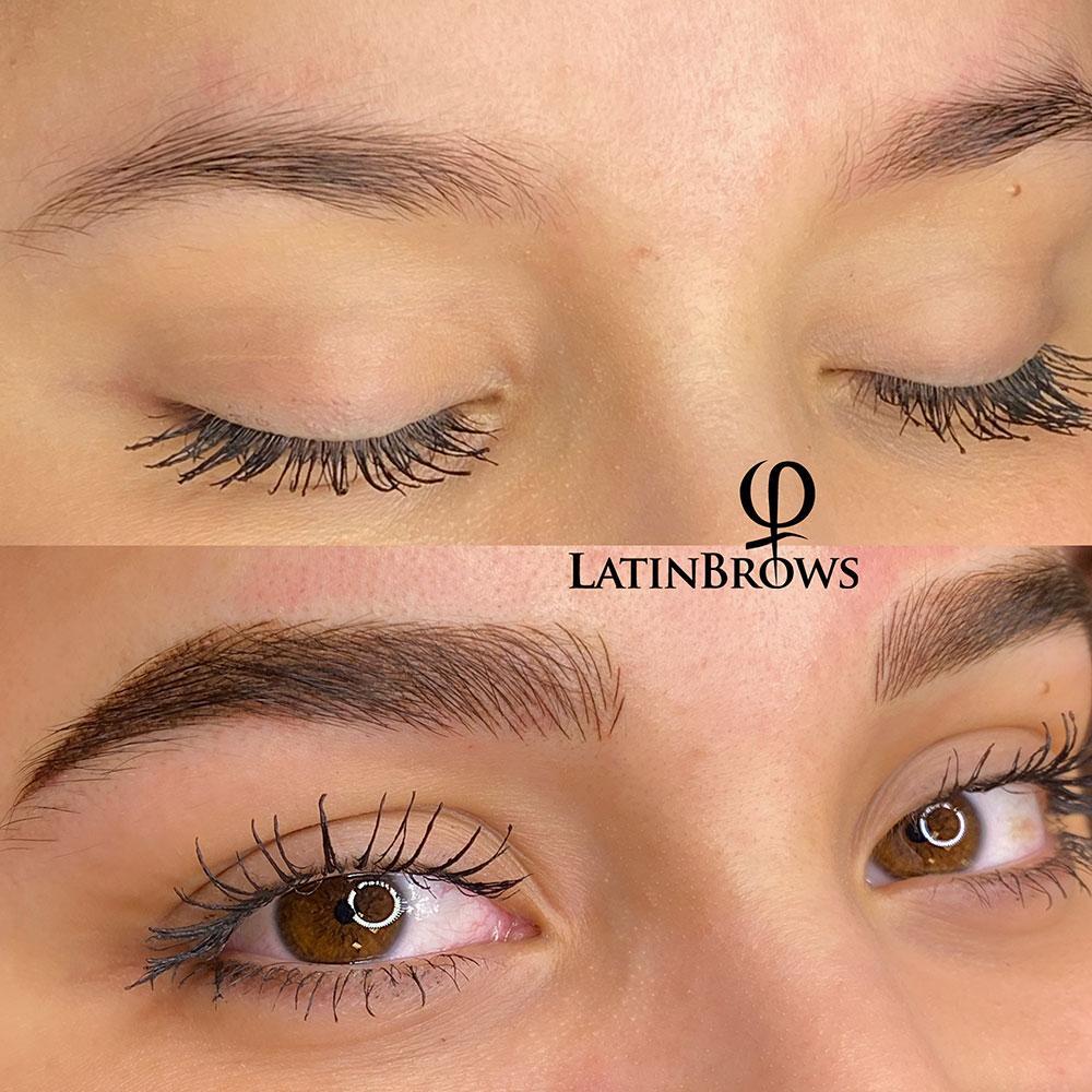 Latin Brows