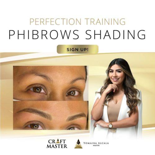 Perfection Training Phi Brows Shading